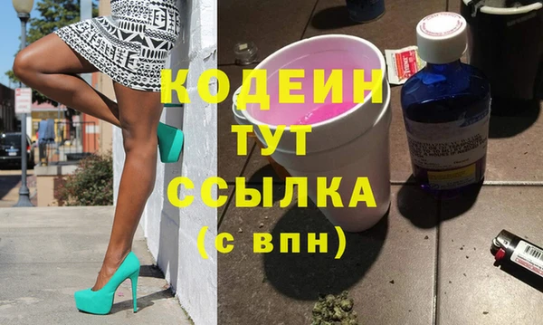 индика Медногорск